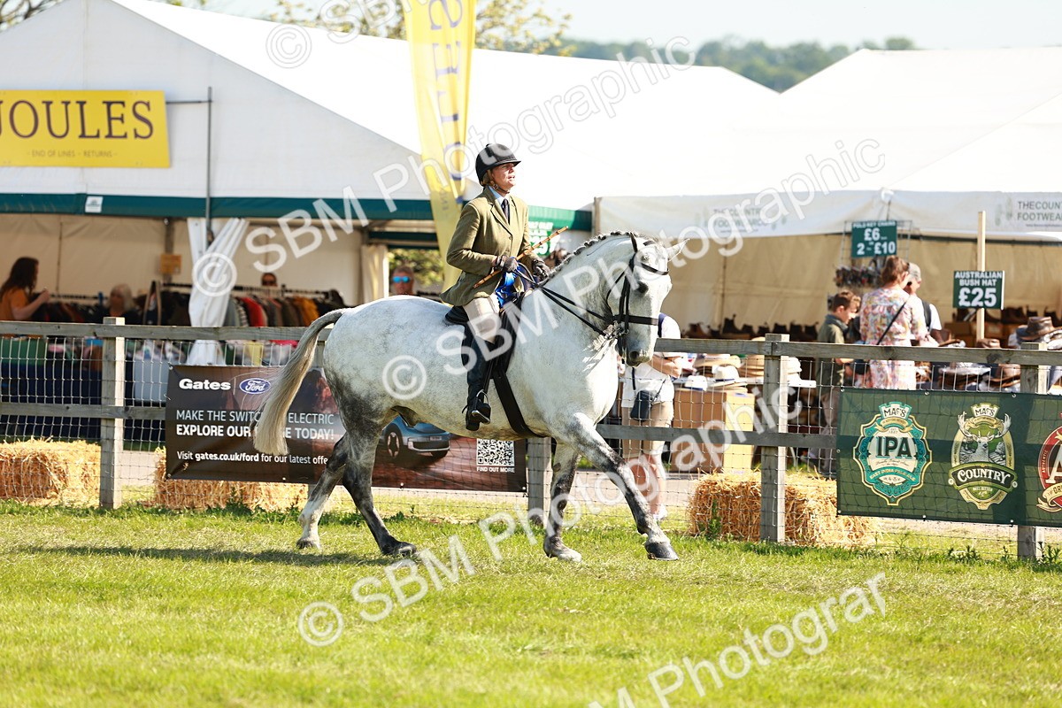SBM_11899 - Class 66-69 - RIHS Ridden Hunters Inc Small Hunter