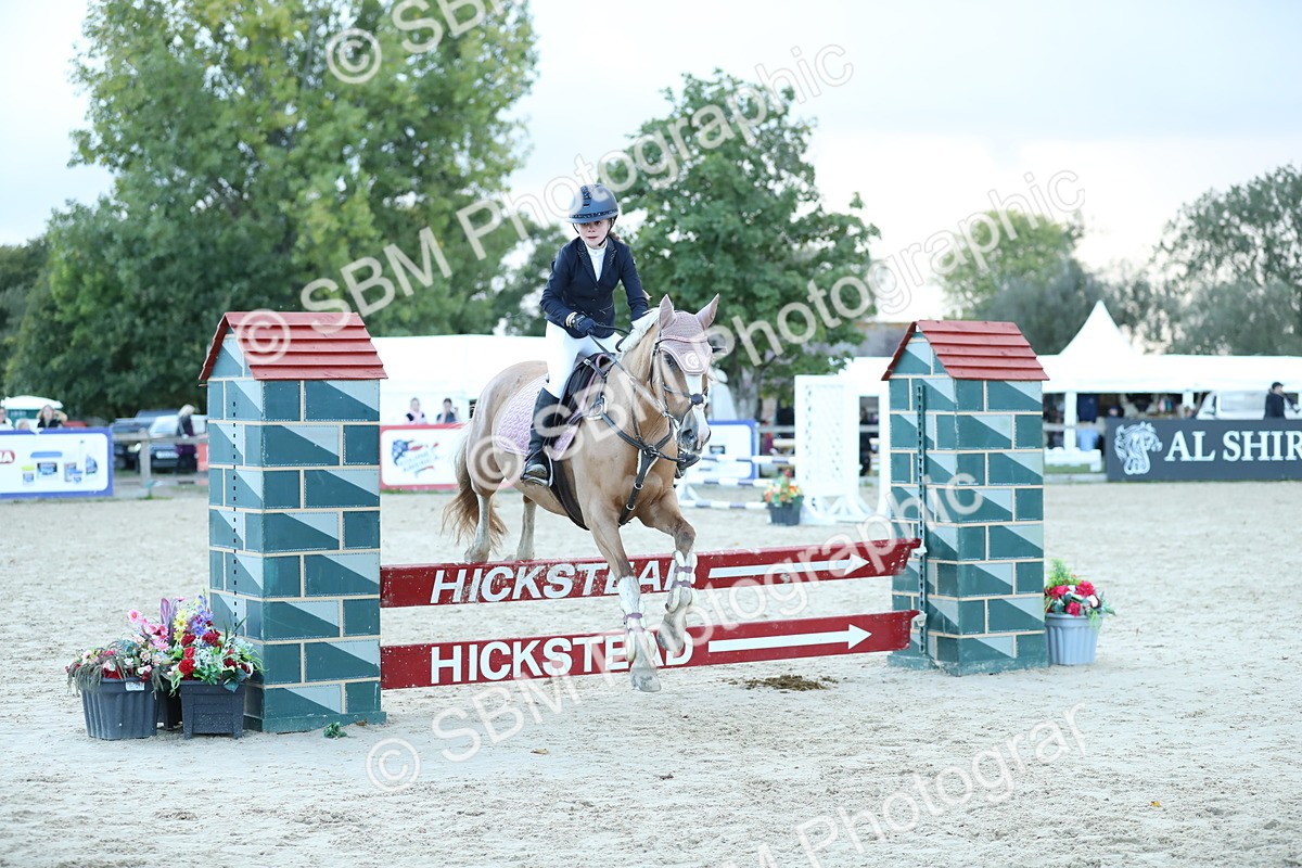 SBM_53681 - Supreme Championship 65cm 70cm