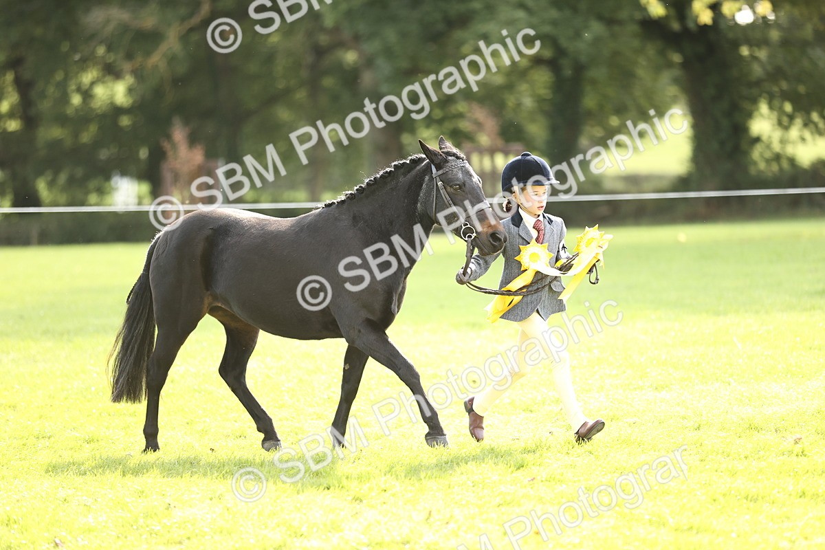 SBM_26313 - S5 - Novice & Newcomers In Hand