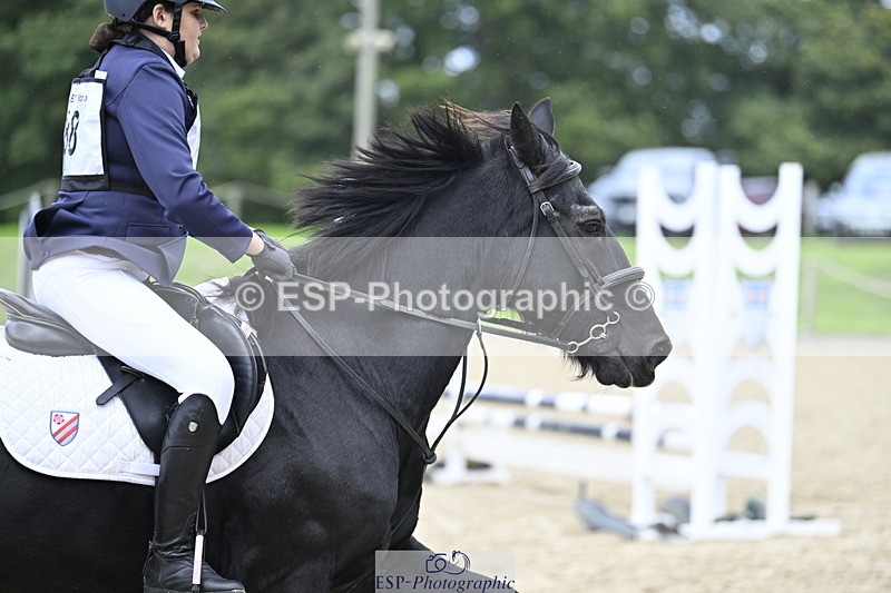 251005A-123223-03829 - Cls 08 Mini 70-75cm