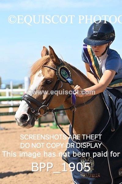 BPP_1905 - THU CLASS 3 Scottish Branch North West Junior Championship **Viewing/Selection class for 148 teams**