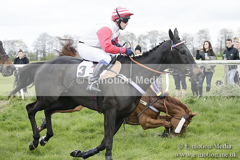 PtP 170417 38 - Old Berks Point-to-Point Lockinge 17/04/17