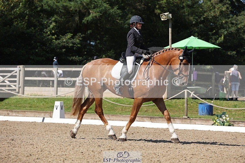 240719-103642-00743 - 223-Deborah_Randall-Sandy's_Bertie