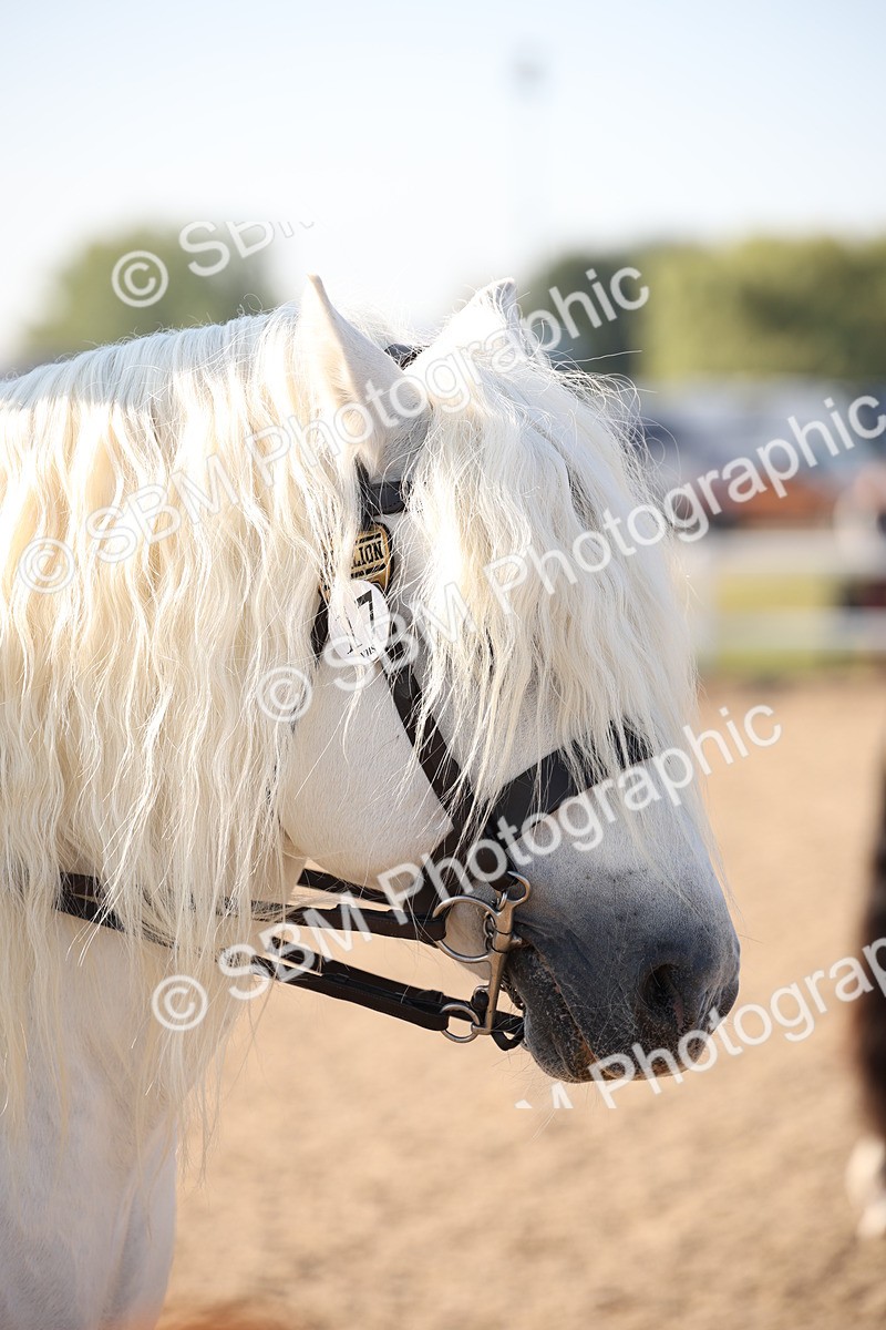 SBM_00719 - Class 14 Ridden M&M Wildcard