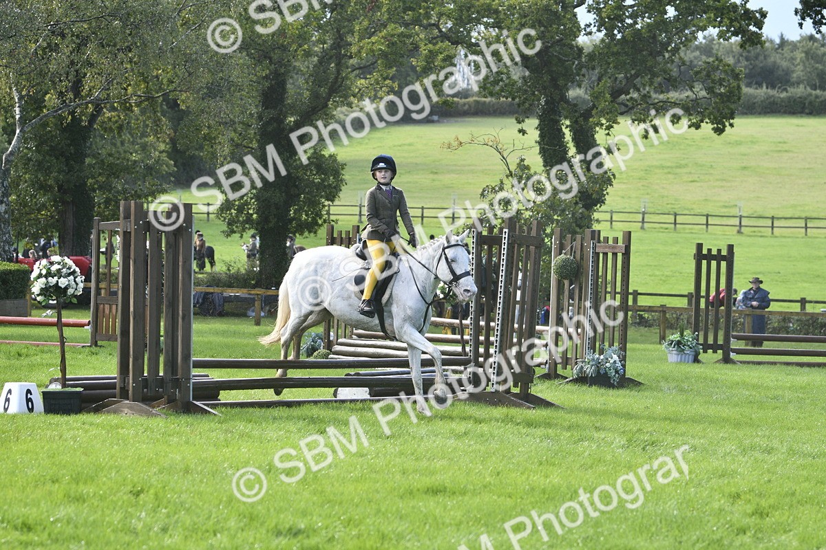 SBM_37207 - S31 - Novice & Newcomer Working Hunter Pony