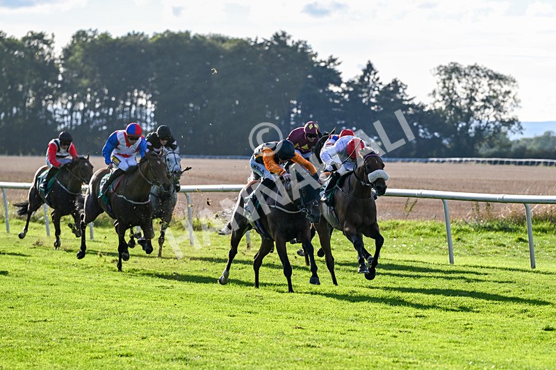 140926-Race 7-Forest Caper-7930 - Race 7 5.21pm Bowel Cancer Screening Programme Saves Lives Handicap