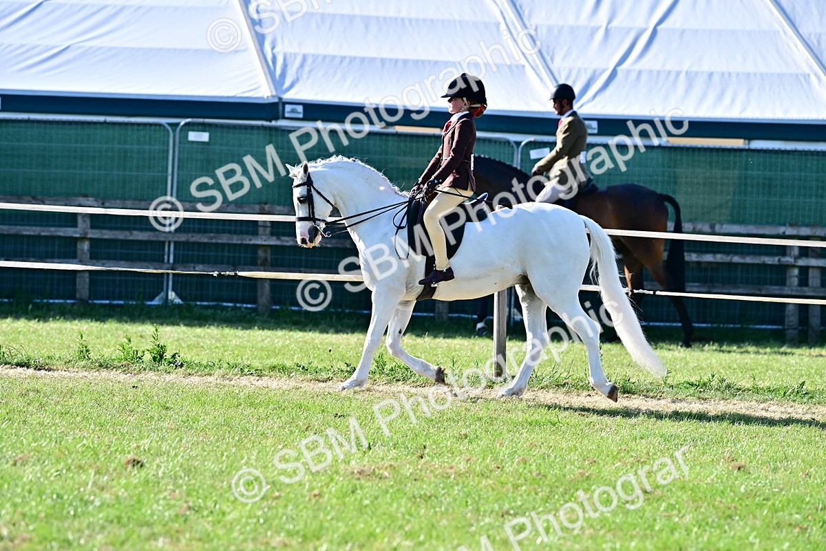 SBM_19881 - Class 103 - 105 - TSR Ridden Amateur of the Year Plaited Ponies