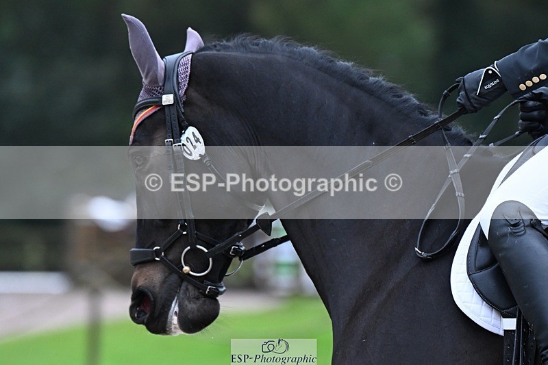 231019-092323-01056 - 024-BIG.LISANDER.K.Z-Pau.Catala-DR