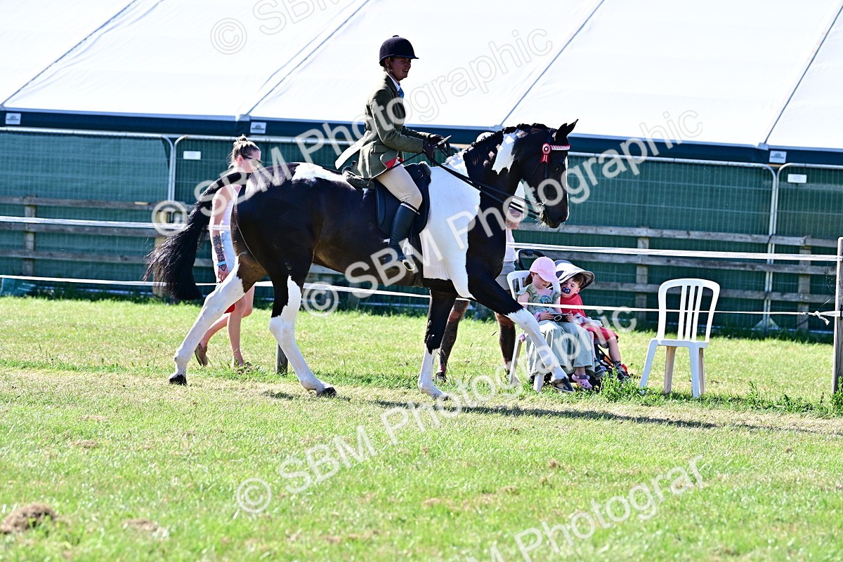 SBM_19512 - Class 101-102 - BSPS LIHS Performance Coloured Horse/Pony