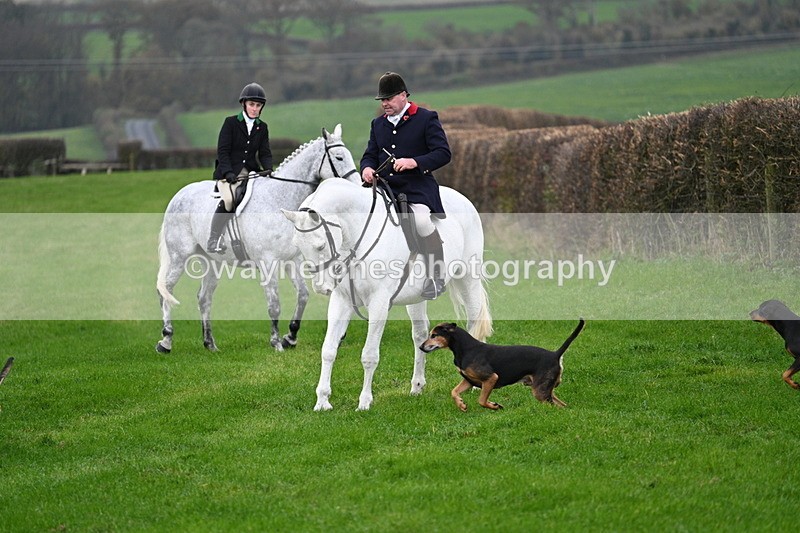 WJ7_8815 - Meet Staff & Hounds