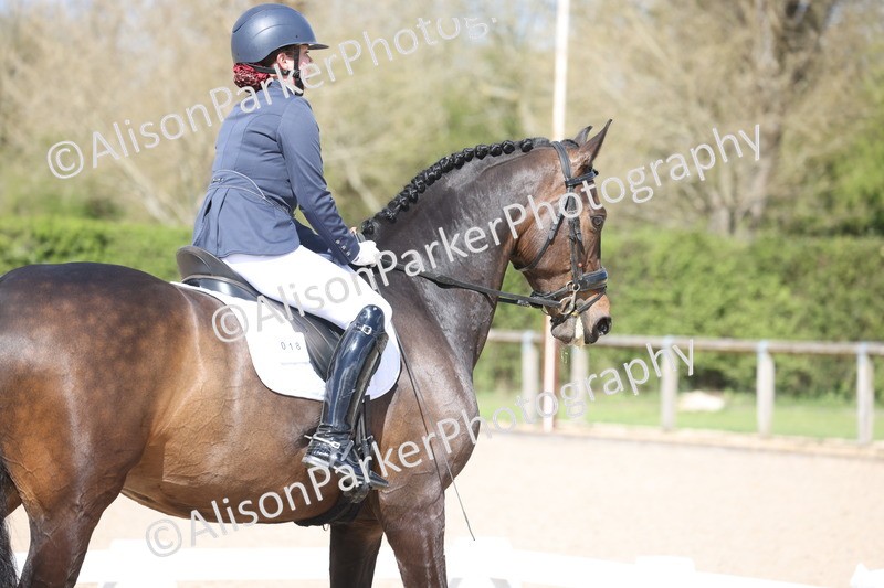 20260405-0781 - Class 8 - Medium 6