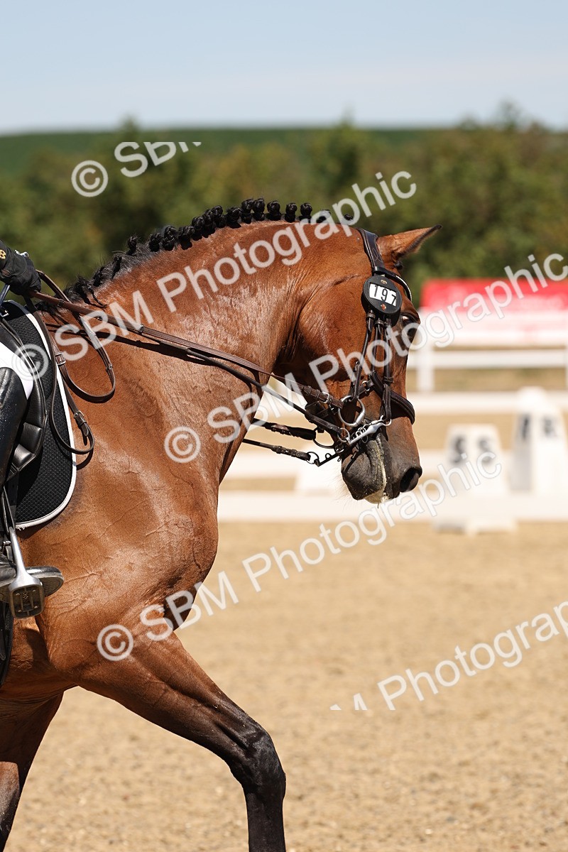 SBM_002199 - Elementary 4 Warm Up