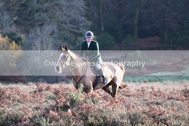 WJ7_7901 - Line 3 (no line 4 or 5)