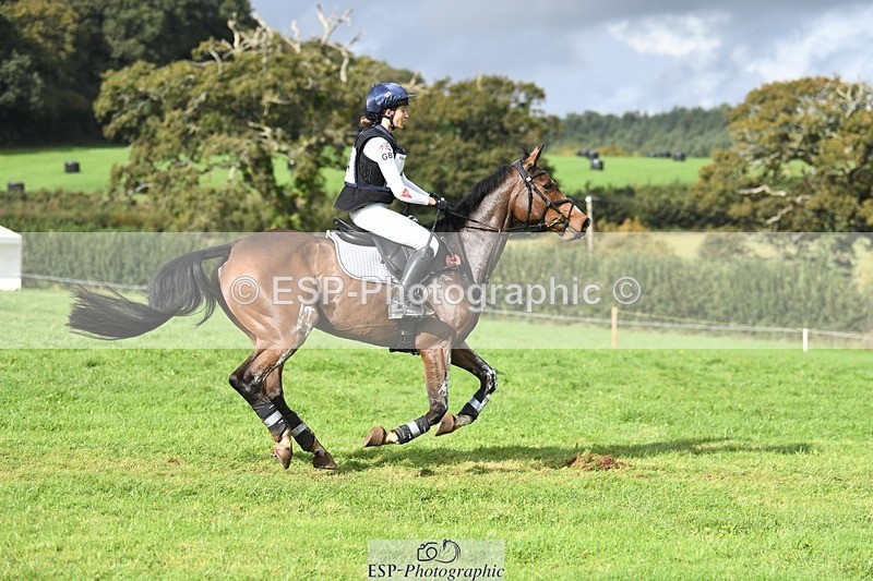 231020-121222-08516 - 044-COOLEY.ON.THE.CARDS-Charlotte.Cooke-XC