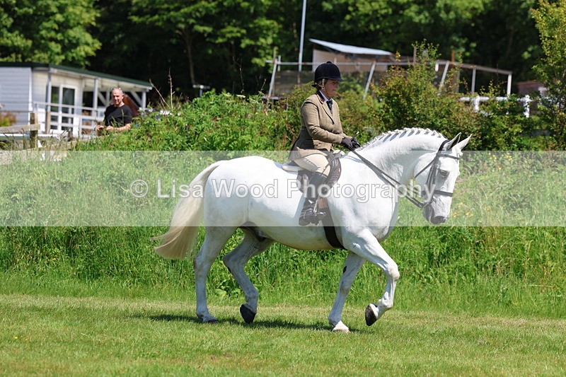 3E7A8234 - Class 13: Ridden Hunter