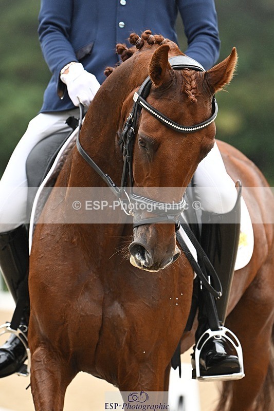 240811-110718-05416 - 234-Mathew.Baker-Zyphire