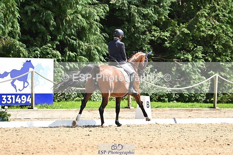 240811-143609-06388 - 231-Louise.Hutchinson-Donnarella