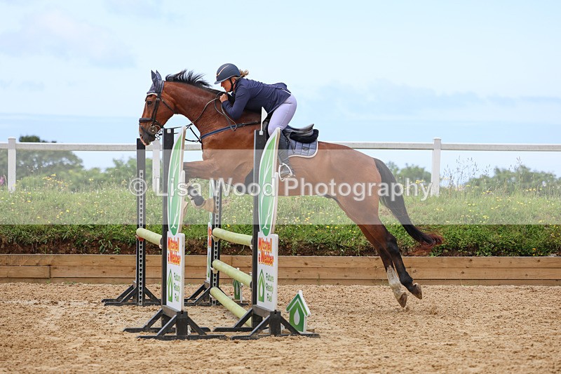 3E7A3236 - Class 4: Senior British Novice/90cm open