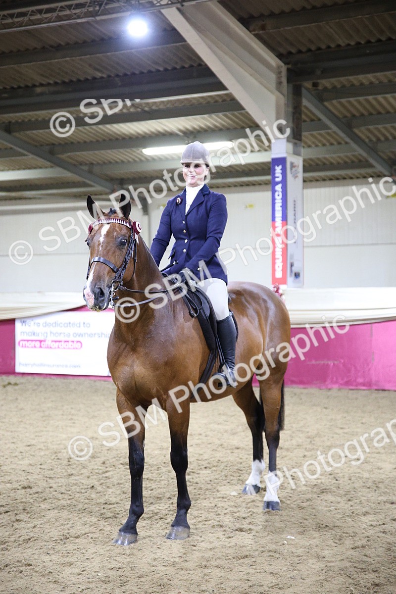 5K7A1558 - Class O Ridden Show Horse Champ