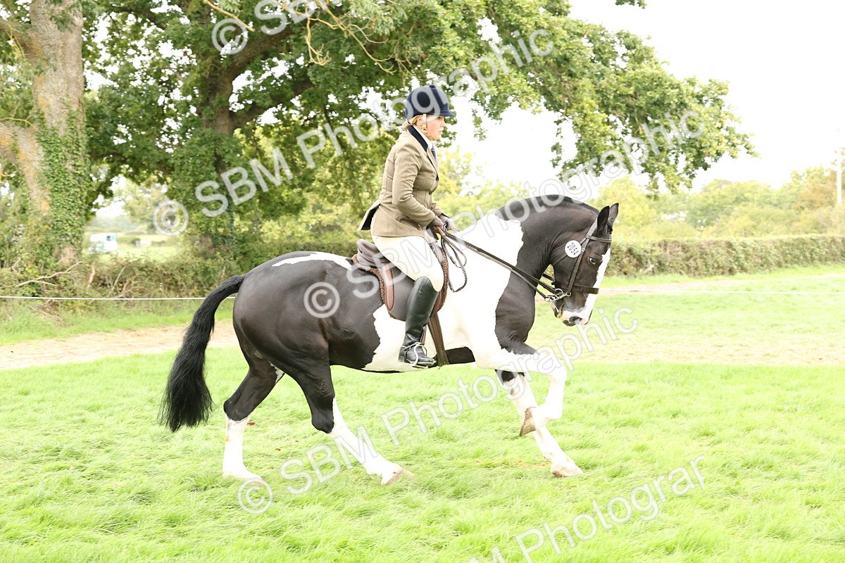 SBM_67225 - S67 - Piebald & Skewbald Horse Ridden