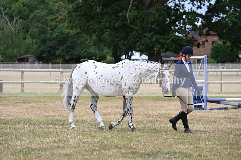 WJ6_4579 - Class 10 Coloured In-hand