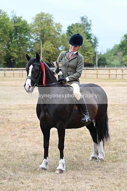 WJ7_1042 - Photo Shoots