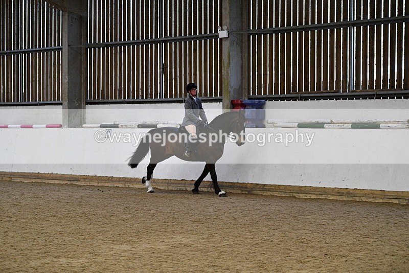 WJ5_7726 - Class 13 Ridden Part Breed