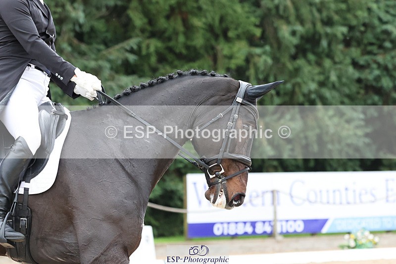 241024-134357-03926 - 216-Stephen.Heal-HISCO