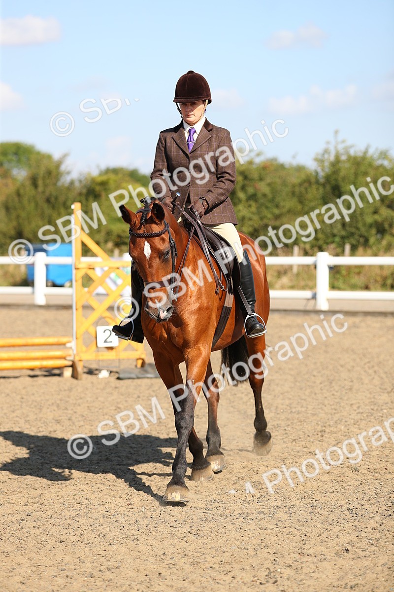 SBM_02273 - Class 43 Ridden Competition Horse/Pony