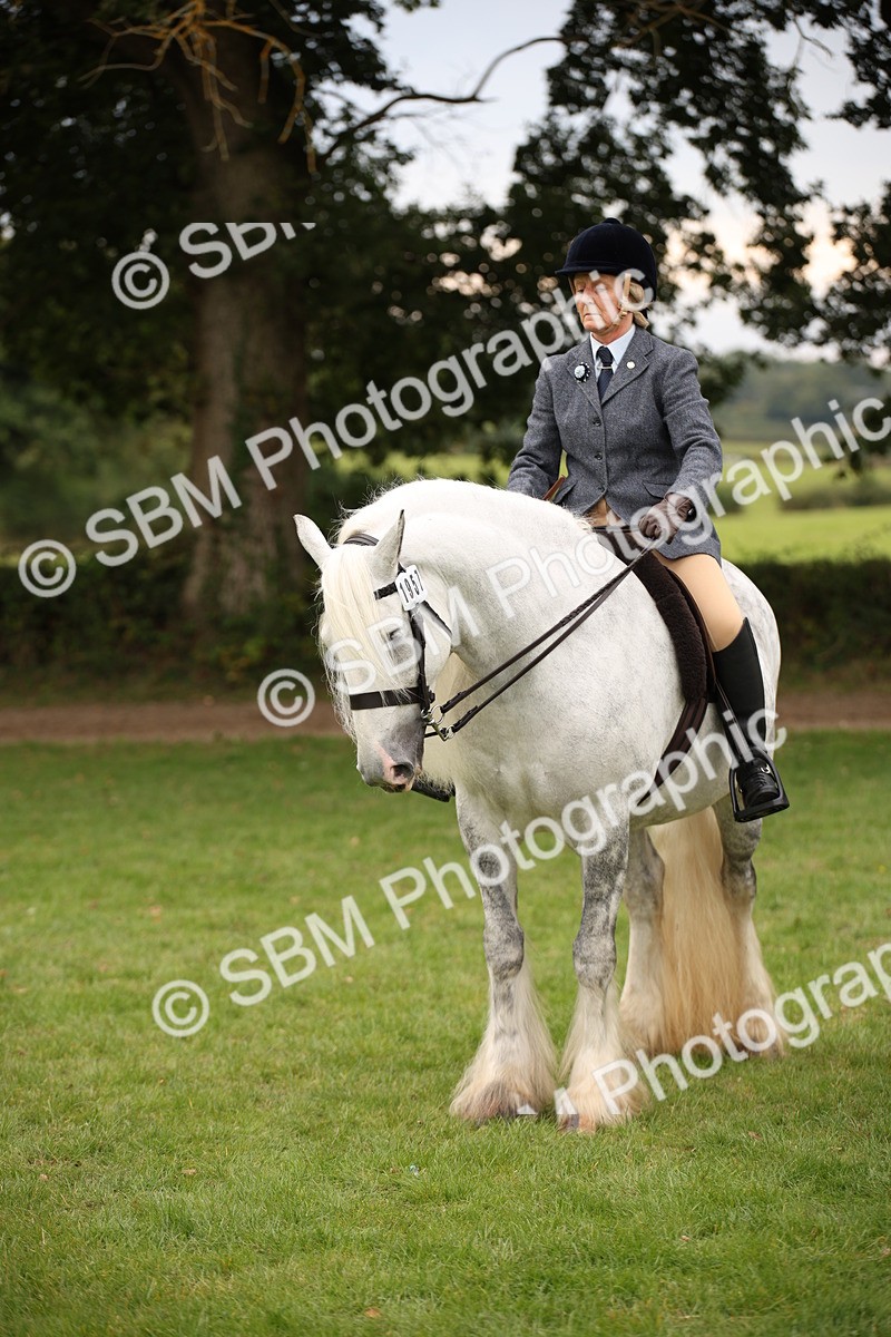 SBM_73459 - S68 - Traditional Cob Ridden