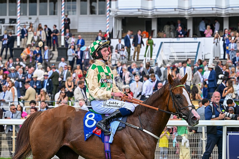 220826-Race 4-Daiquiri Bay-0592 - Race 4 15.35pm Sky Bet Ebor Handicap