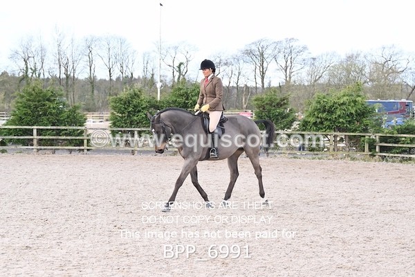 BPP_6991 - RING 1  (RIDDEN HORSES / IN HAND / VETERAN ETC)