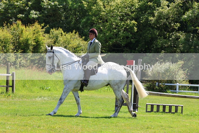 3E7A8324 - Class 13: Ridden Hunter