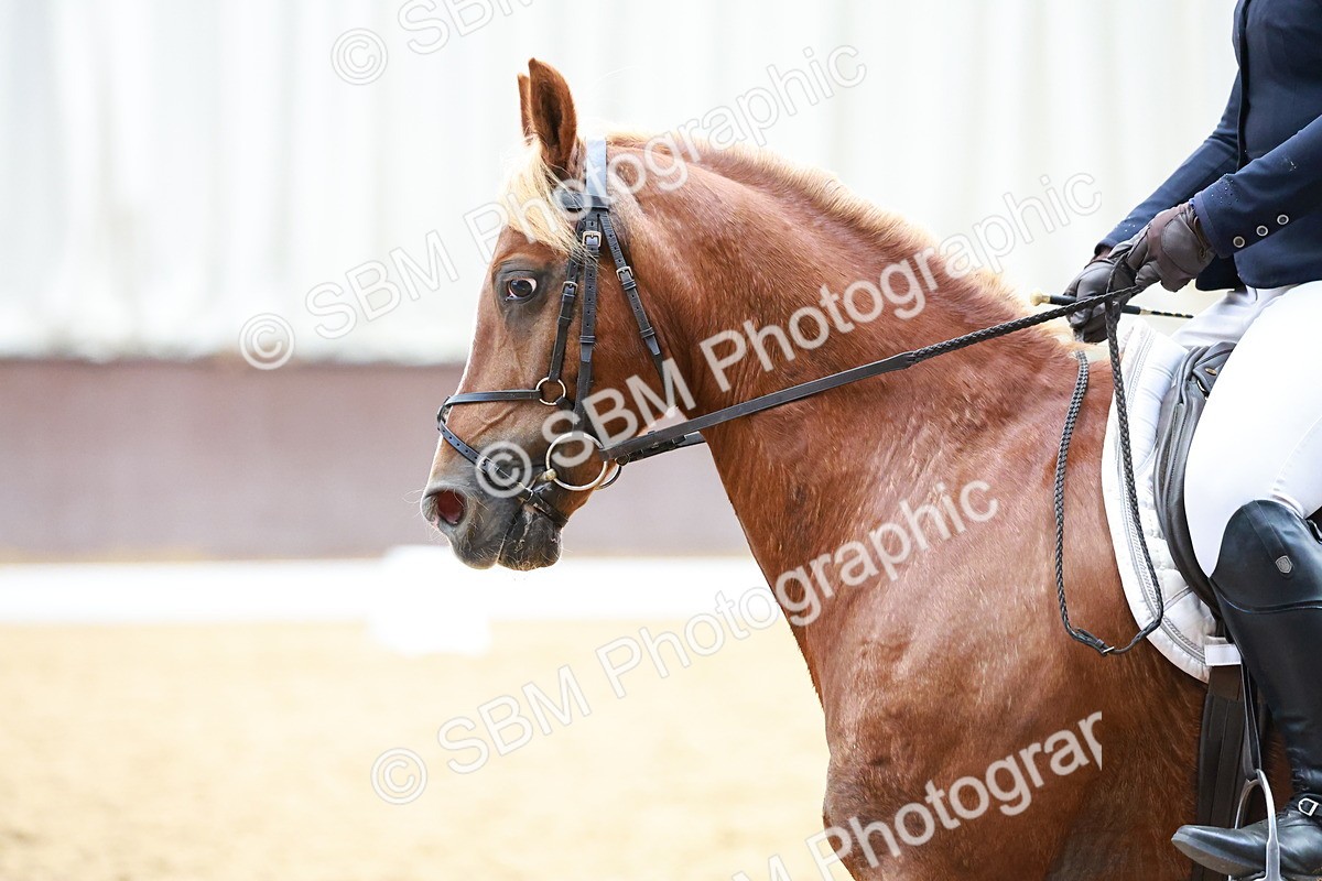 SBM_011521 - Prelim 5 - 13.05-14.01