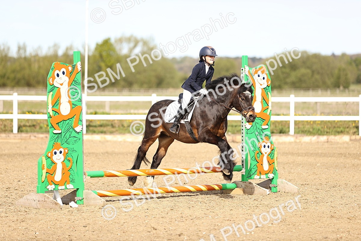 SBM_000078 - 50cm