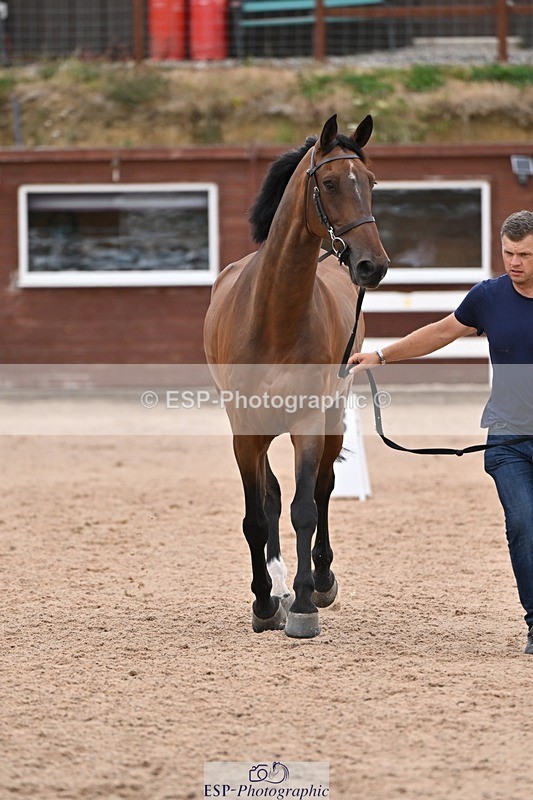 250716-141059-00948 - Trot Up 1.30 to 2.30