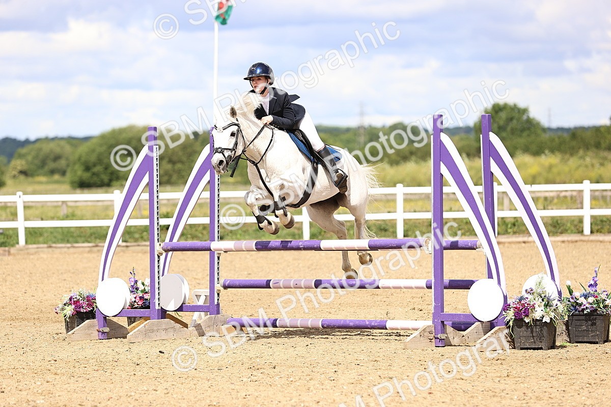 SBM_006555 - Class 16 - Senior British Novice - 90cm