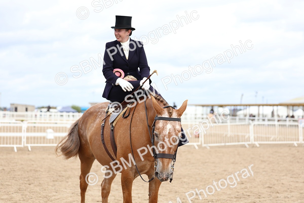 SBM_03482 - Class 24 - SSA Concours d'elegance (any age)