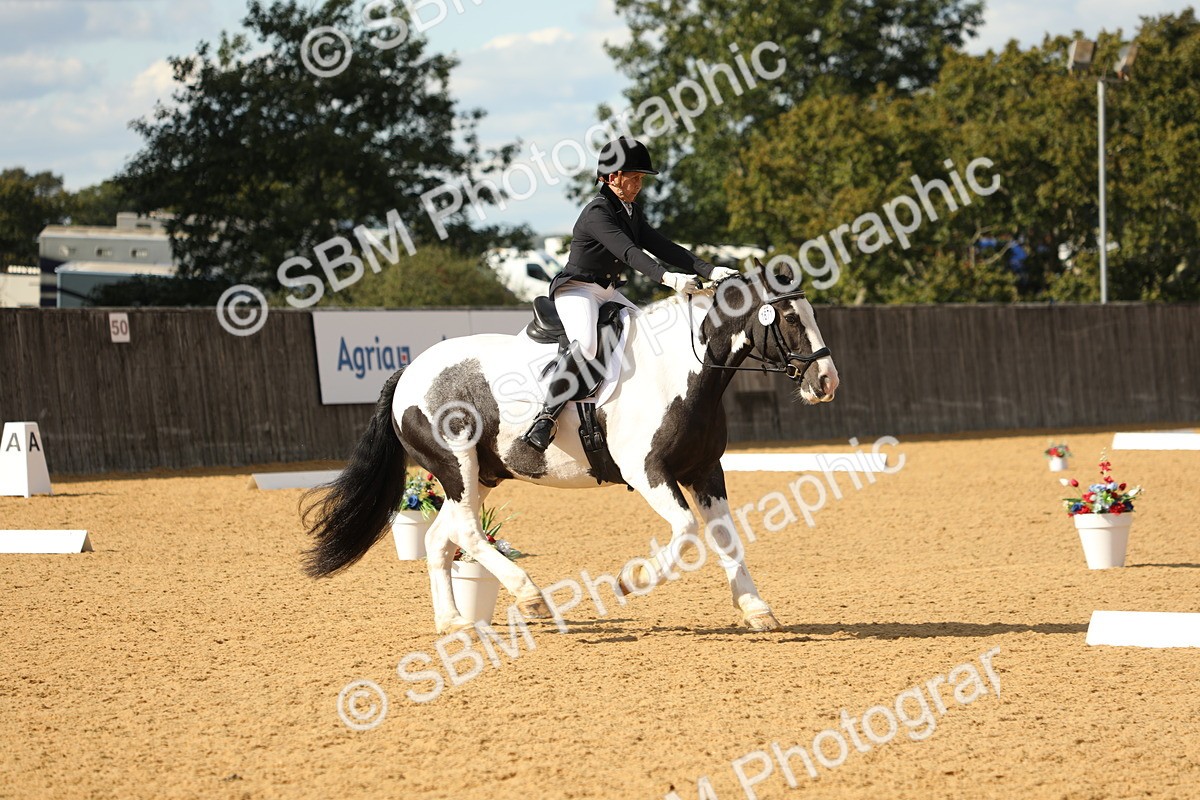 SBM_26701 - D17 - Grand Tour Championship - Novice 27