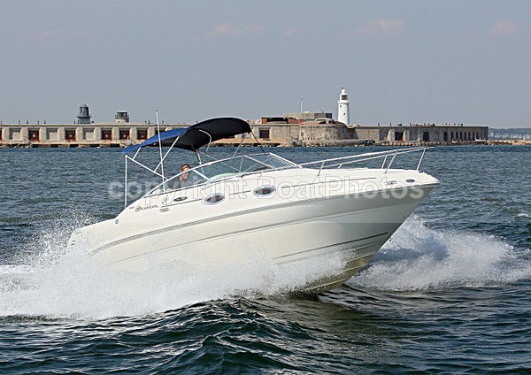 120726 COBWEB SEARAY SUNDANCER WT7A9478 - Motorboats - Open