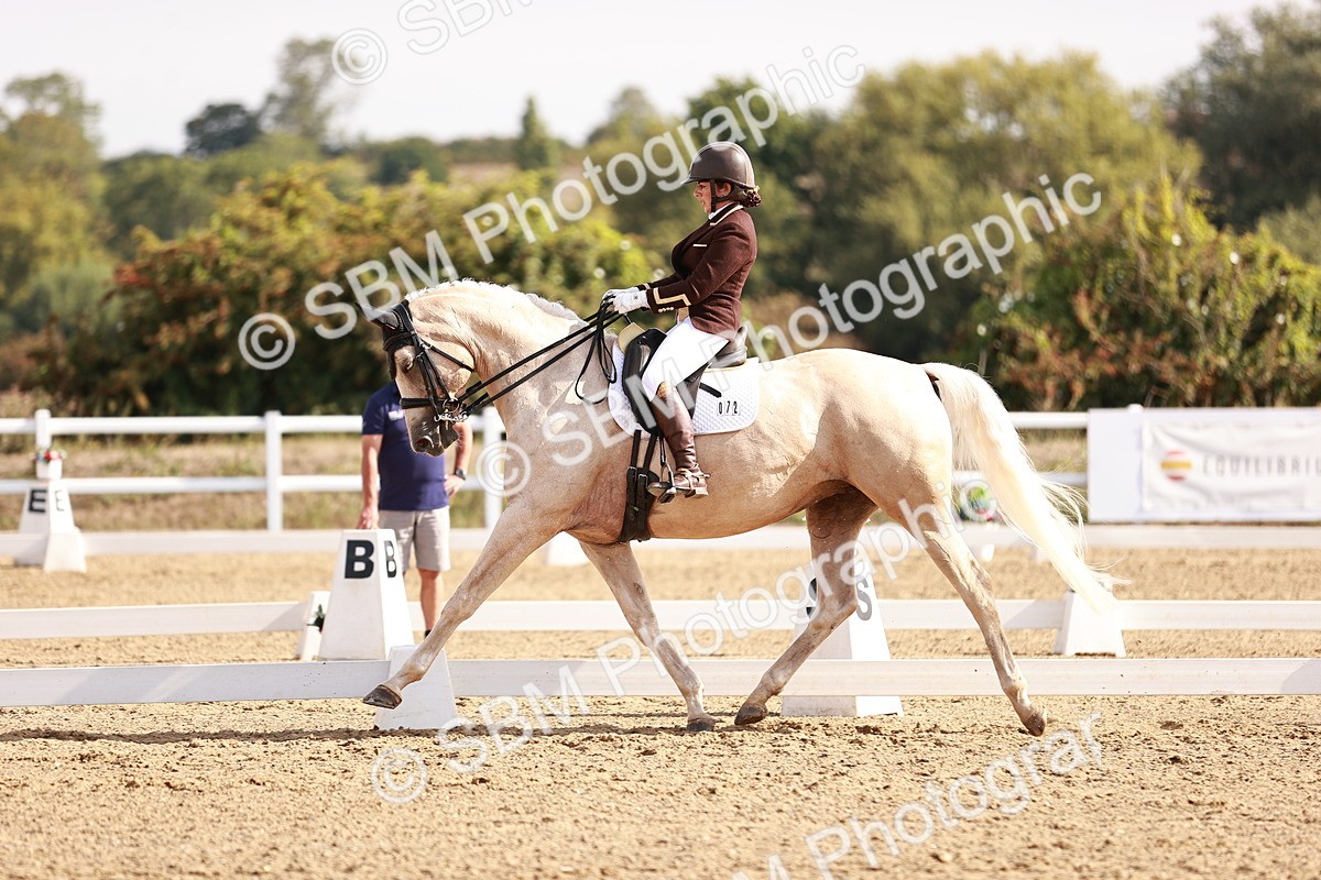 SBM_017031 - Class 10 - Medium 6