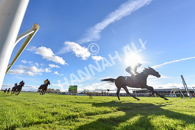 291024-Race 3-Kings Scholar-8637 - Race 3