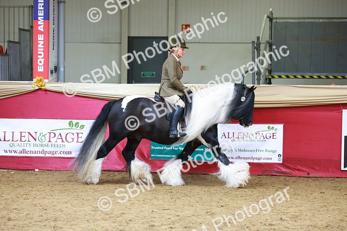 SBM_06160 - Class 12R - Ridden Pre-Vet
