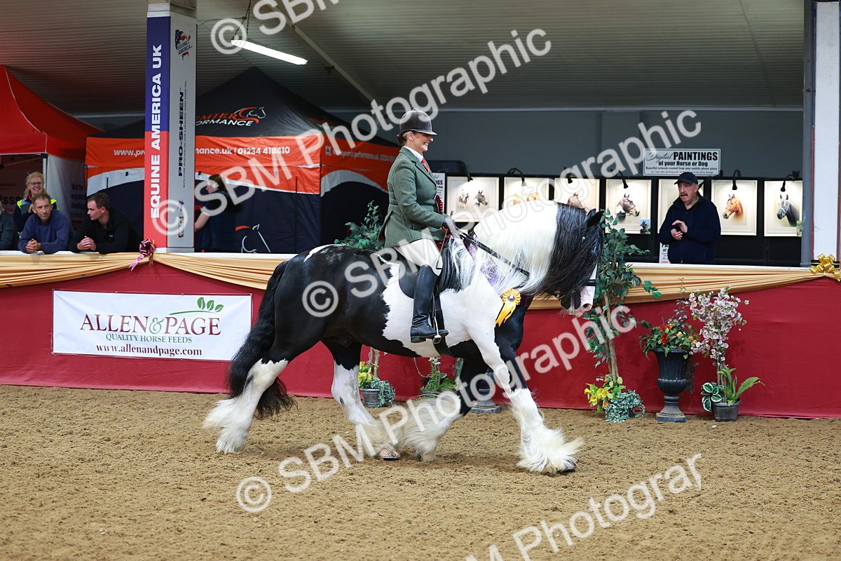 SBM_09881 - Class 102 - HOYS Veteran Qualifier - Ridden Veteran
