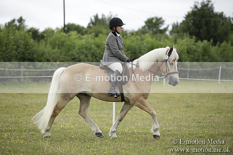 BVR160717-1506 - Ring 1 BVRC Show 16/07/17