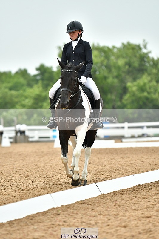 230708A-120138-02690 - Prelim 13