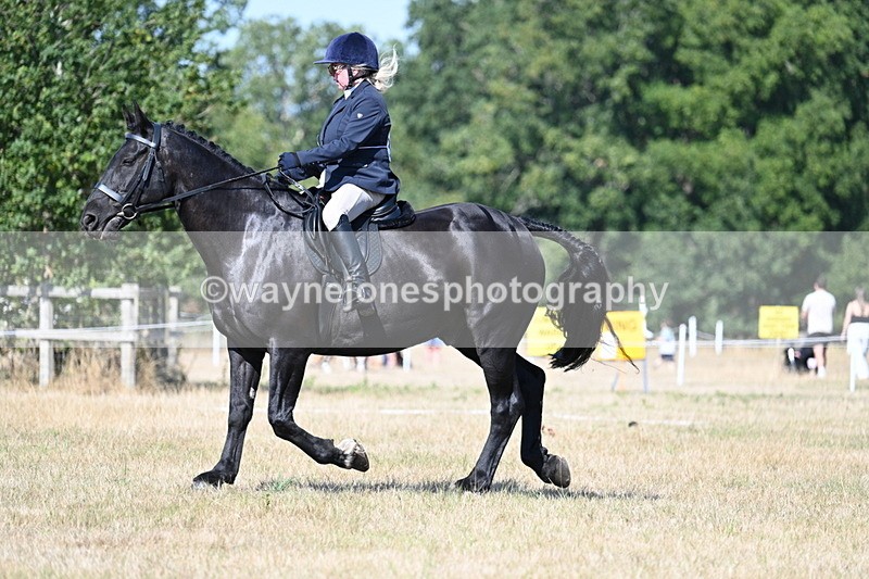 WJ7_9900 - Time 11:03 to 11:28