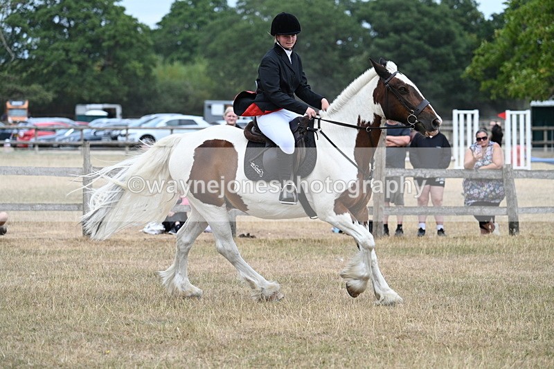 WJ7_1385 - Class 8 Ridden Veterans
