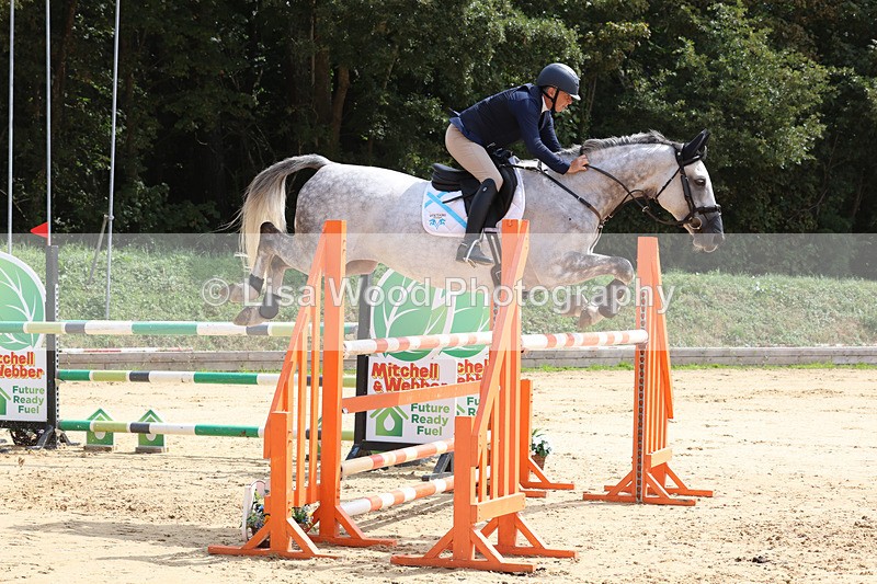3E7A1883 - Class 9: Senior Foxhunter/1.20 open