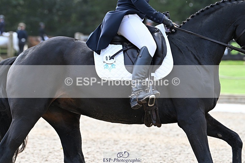 231019-143839-04238 - 054-PORSCHE-Coco.Lanni-DR